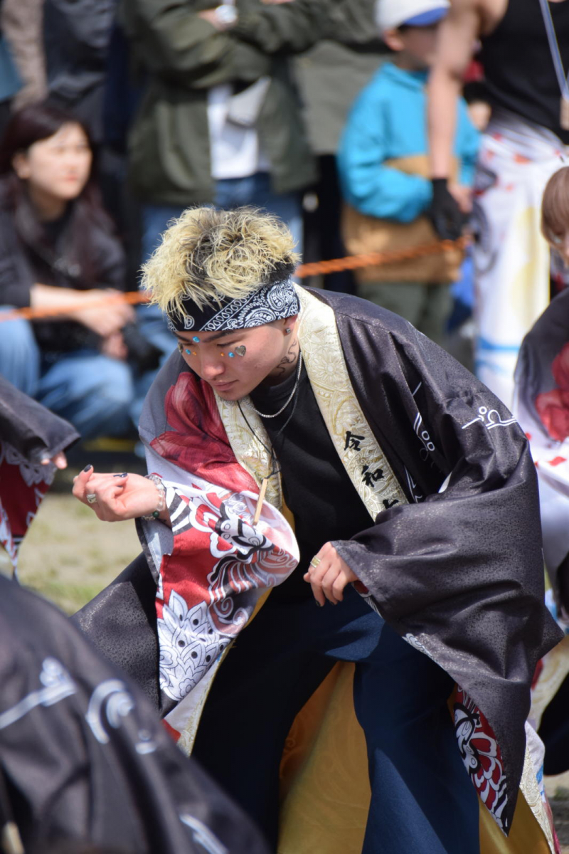 第52回江刺甚句まつり2025その4 2025/05/04