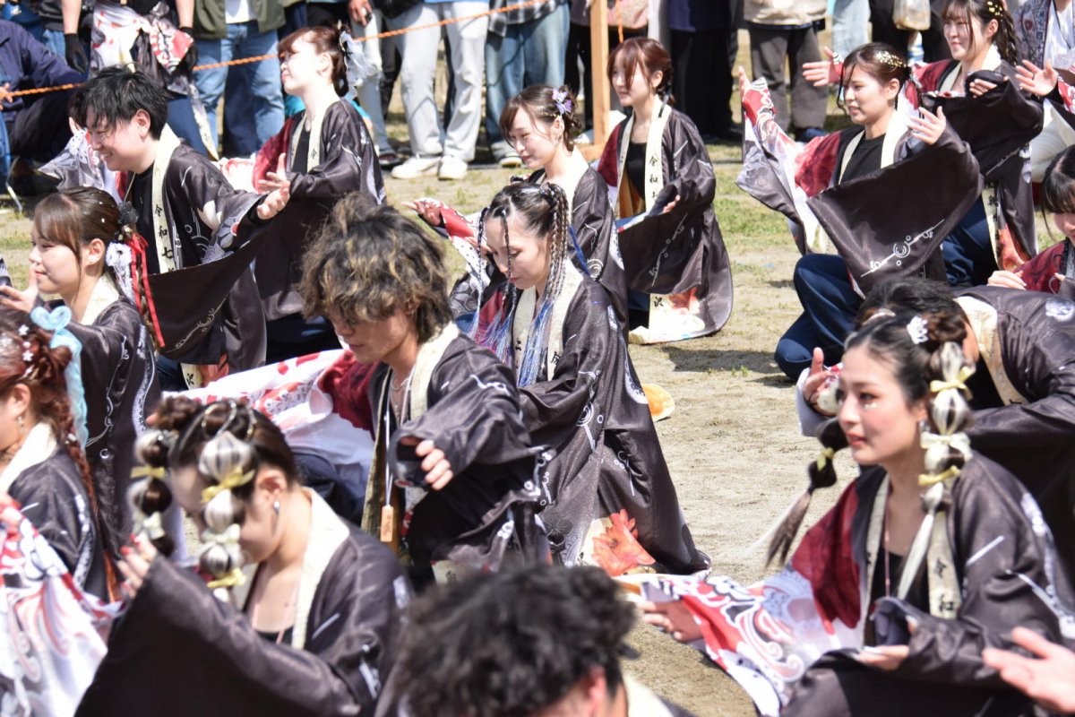 第52回江刺甚句まつり2025その4 2025/05/04