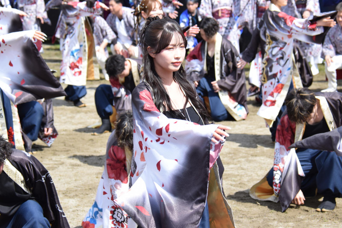 第52回江刺甚句まつり2025その4 2025/05/04