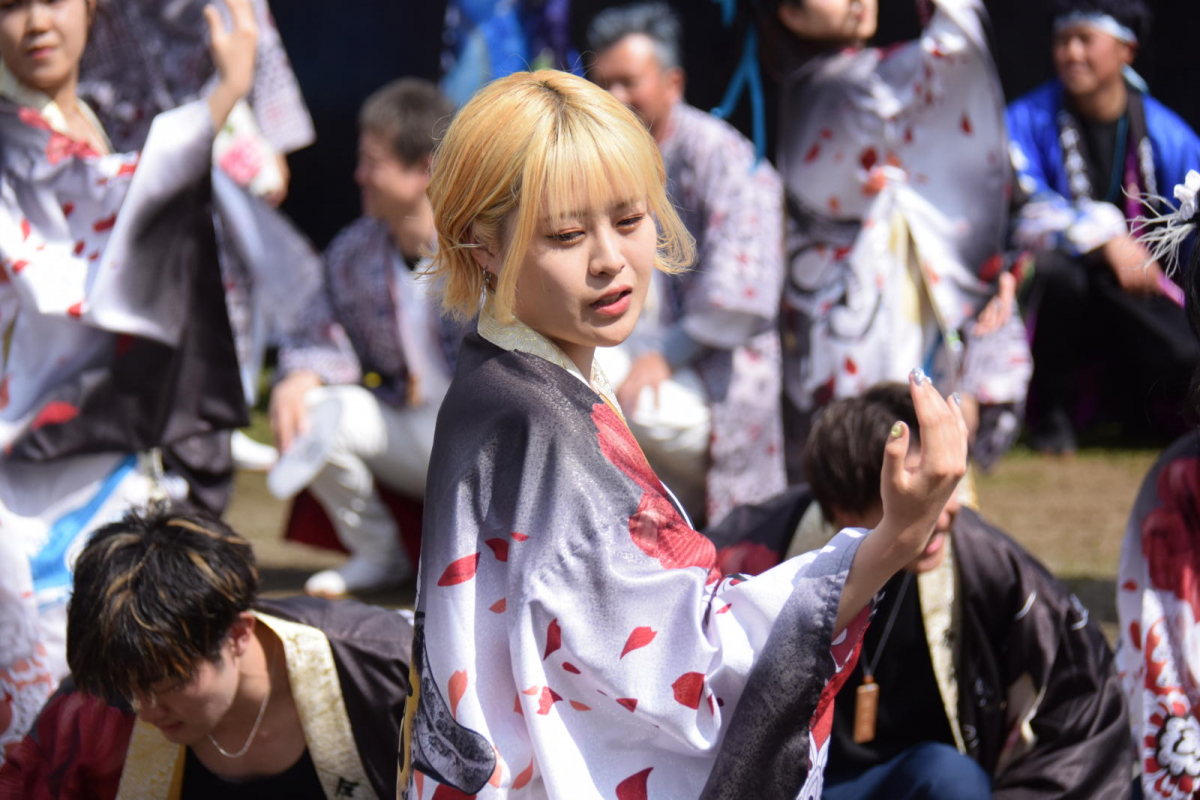 第52回江刺甚句まつり2025その4 2025/05/04