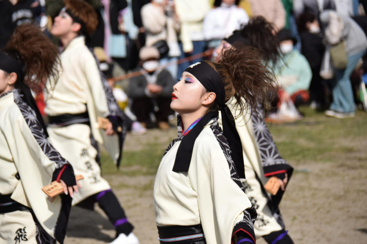 第52回江刺甚句まつり2025その4 2025/05/04