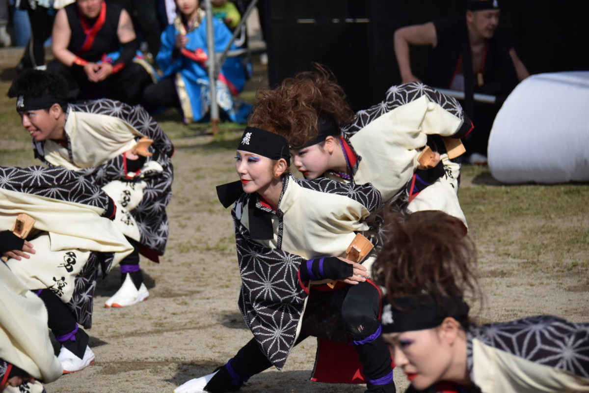 第52回江刺甚句まつり2025その4 2025/05/04