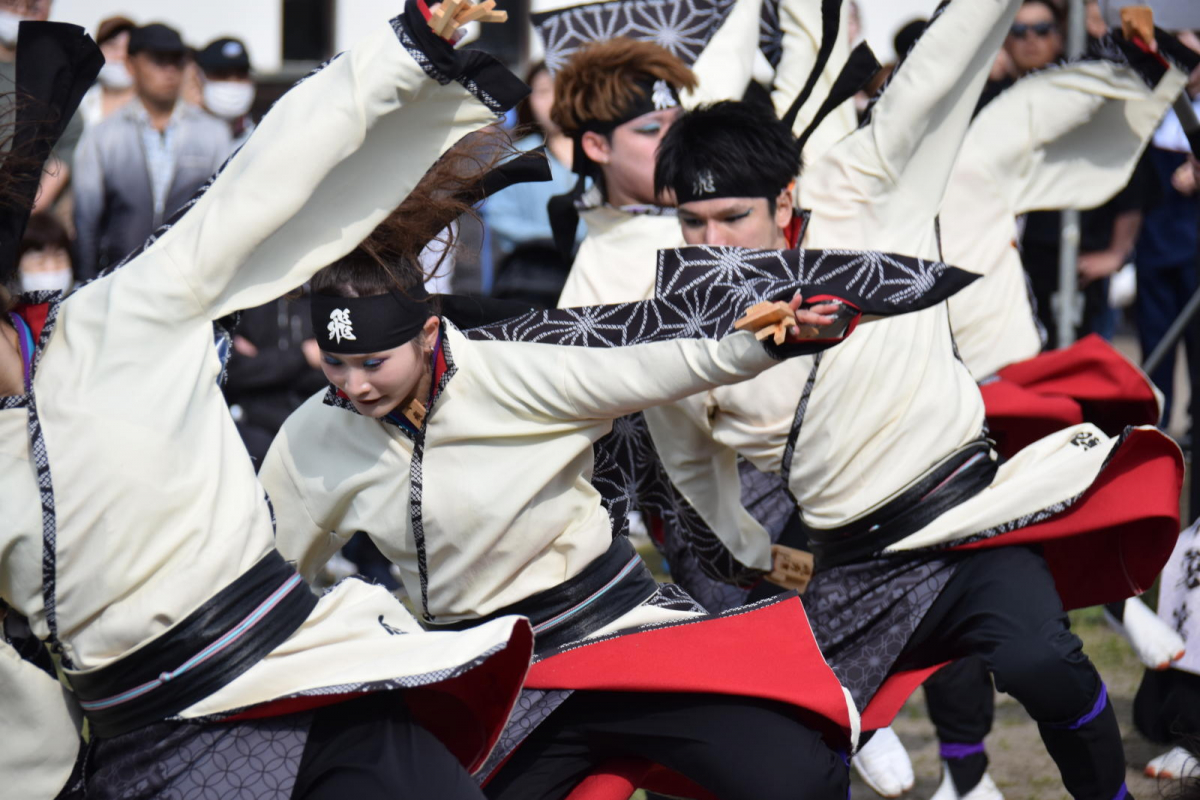 第52回江刺甚句まつり2025その4 2025/05/04