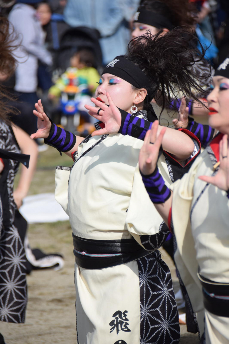 第52回江刺甚句まつり2025その4 2025/05/04