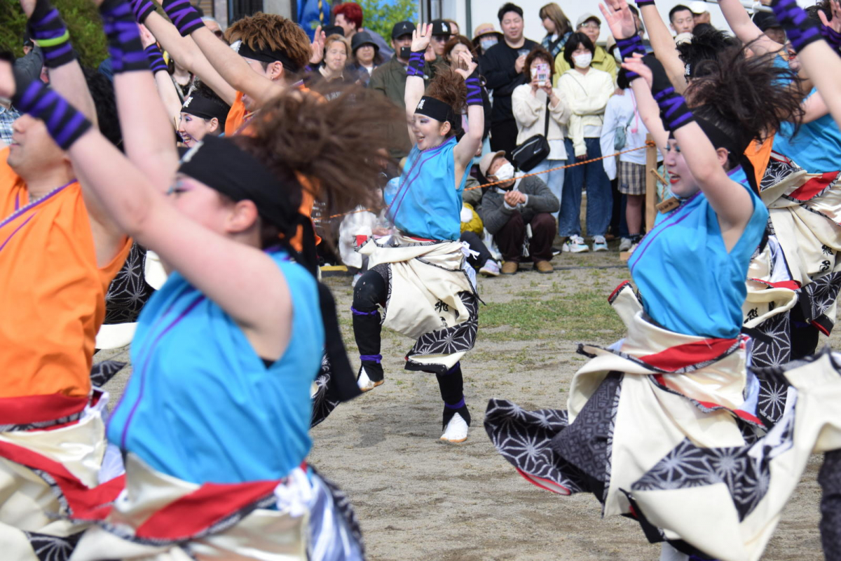 第52回江刺甚句まつり2025その4 2025/05/04