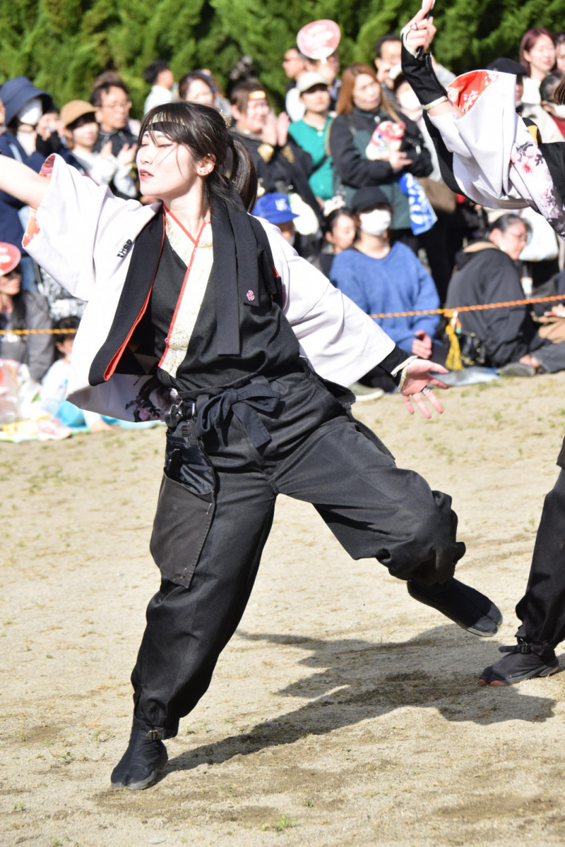 第52回江刺甚句まつり2025その4 2025/05/04