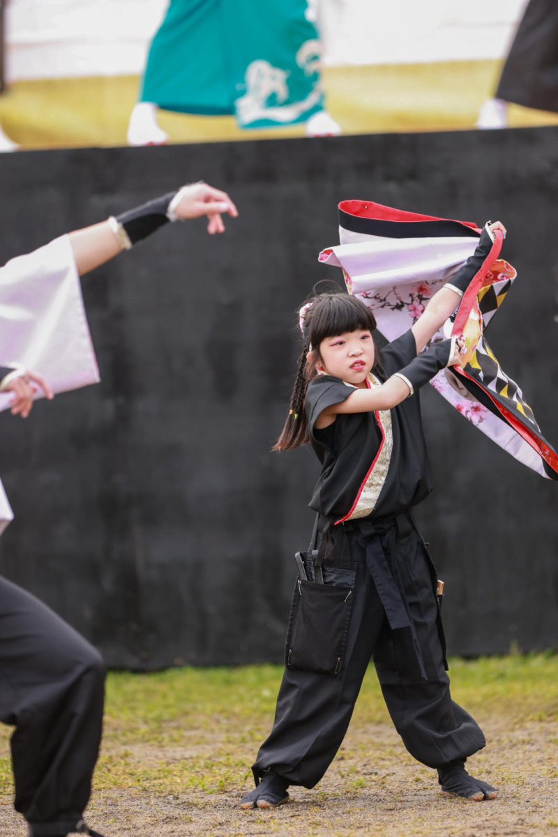 第52回江刺甚句まつり2025その5 2025/05/04