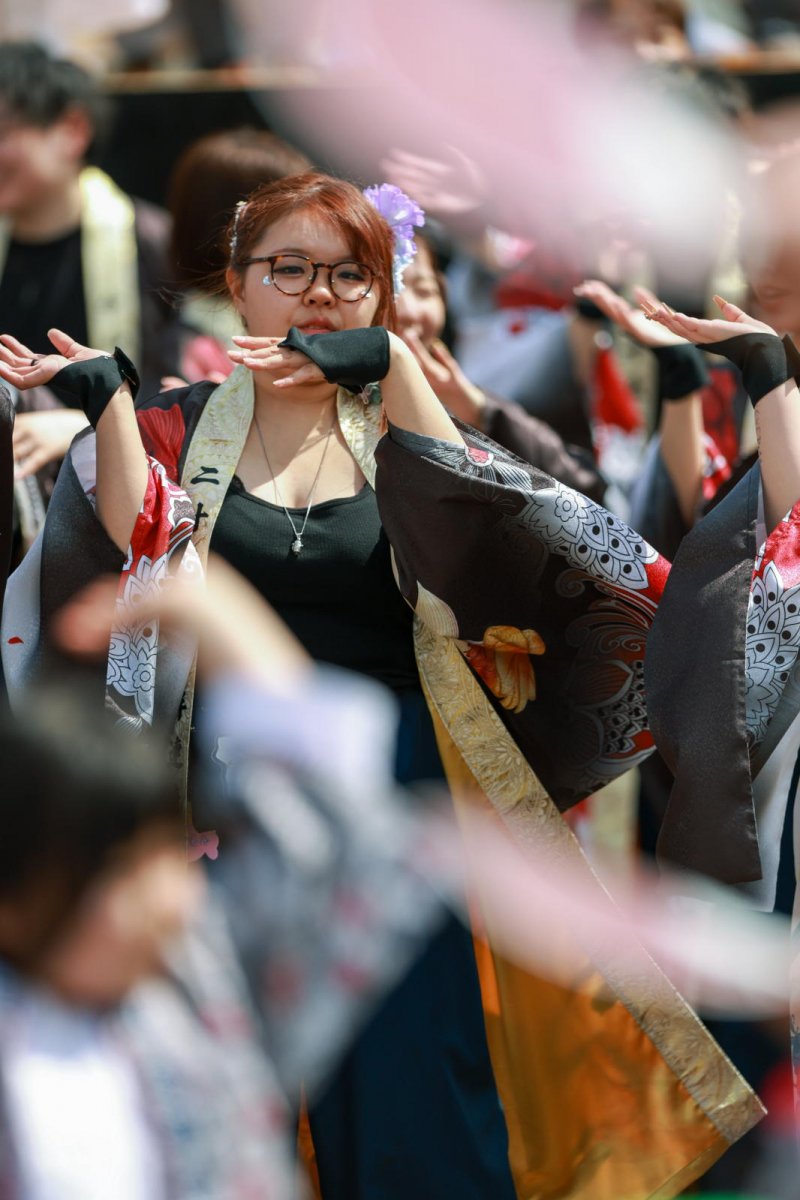 第52回江刺甚句まつり2025その5 2025/05/04