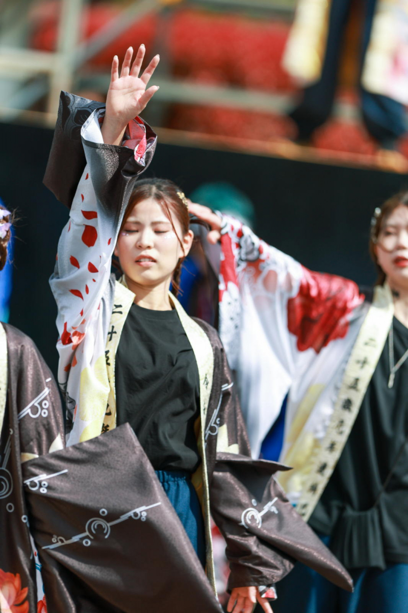 第52回江刺甚句まつり2025その5 2025/05/04