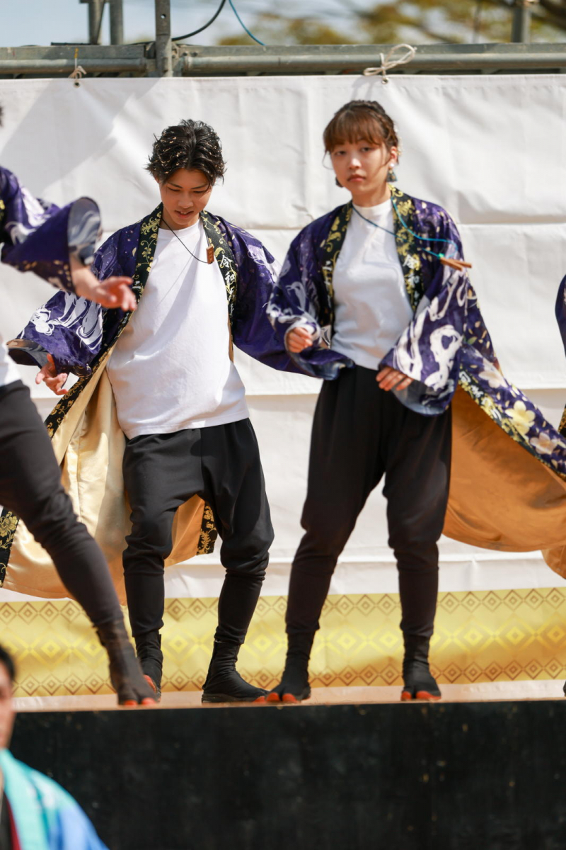 第52回江刺甚句まつり2025その5 2025/05/04