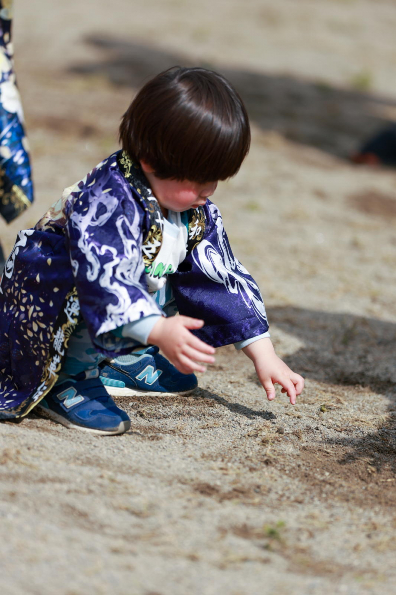 第52回江刺甚句まつり2025その5 2025/05/04