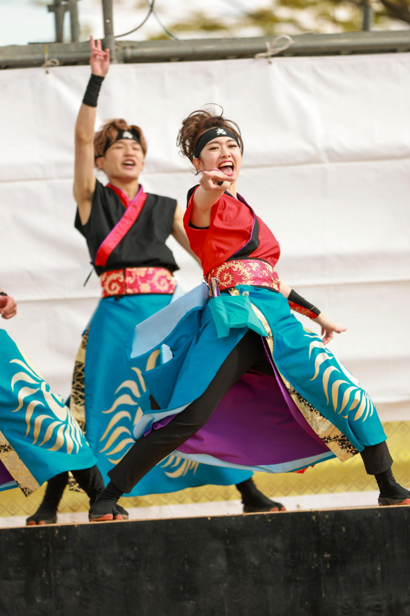 第52回江刺甚句まつり2025その5 2025/05/04