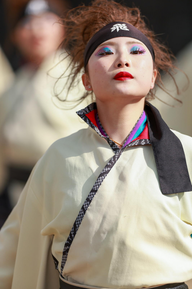 第52回江刺甚句まつり2025その5 2025/05/04