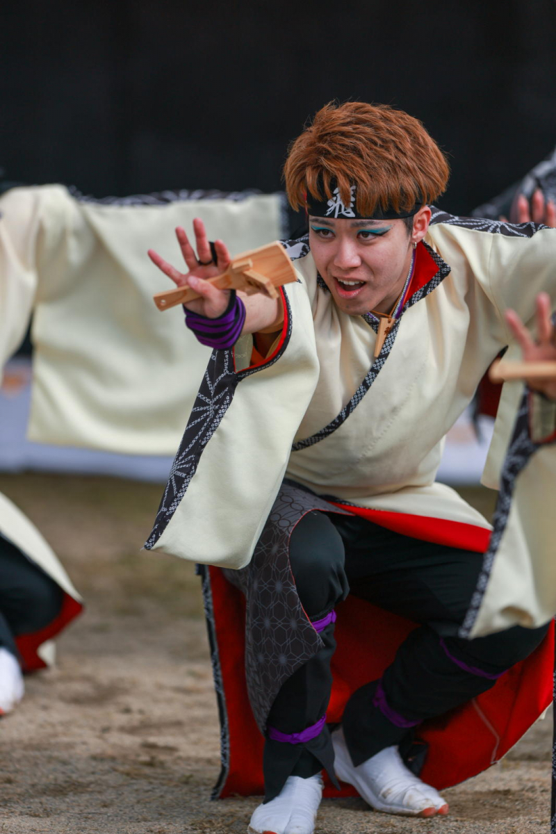 第52回江刺甚句まつり2025その5 2025/05/04