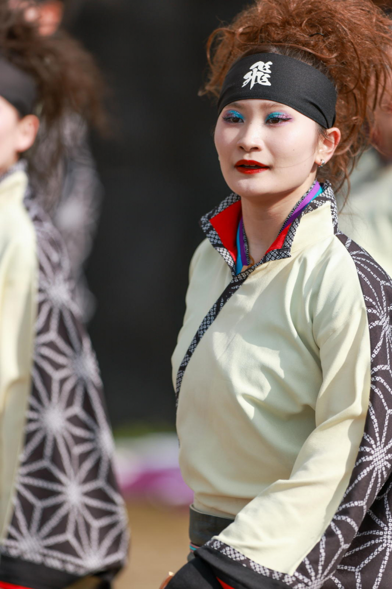 第52回江刺甚句まつり2025その5 2025/05/04