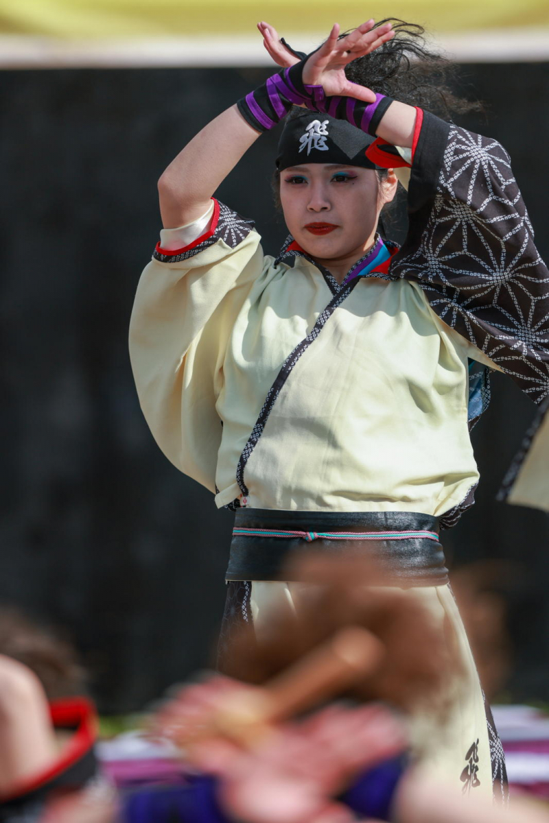 第52回江刺甚句まつり2025その5 2025/05/04