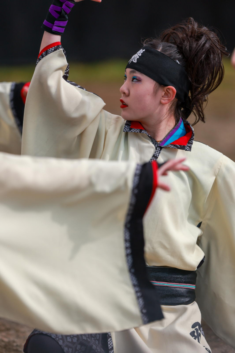 第52回江刺甚句まつり2025その5 2025/05/04