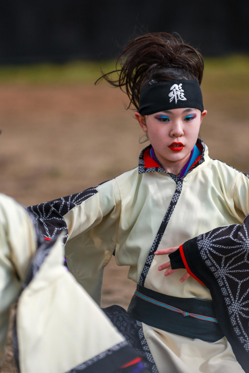 第52回江刺甚句まつり2025その5 2025/05/04