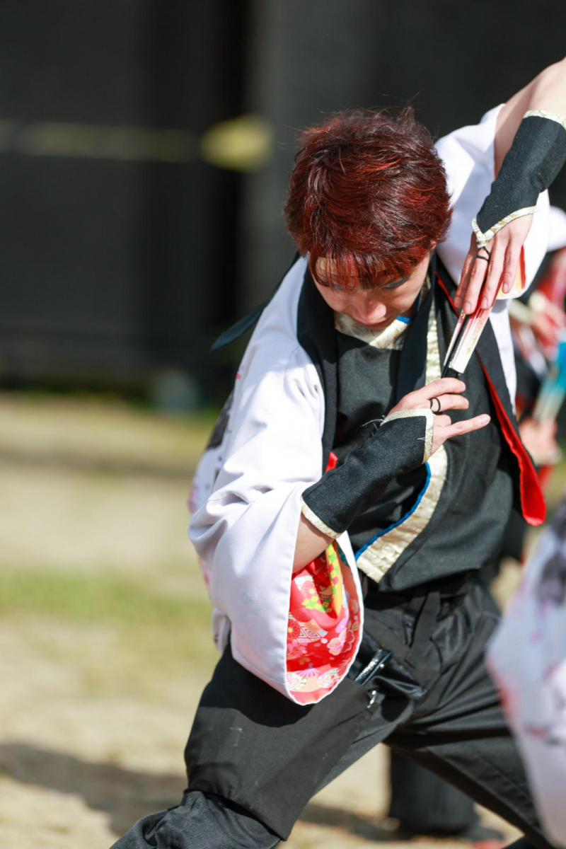 第52回江刺甚句まつり2025その5 2025/05/04