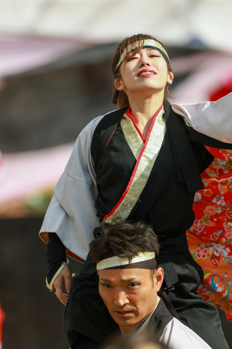 第52回江刺甚句まつり2025その5 2025/05/04