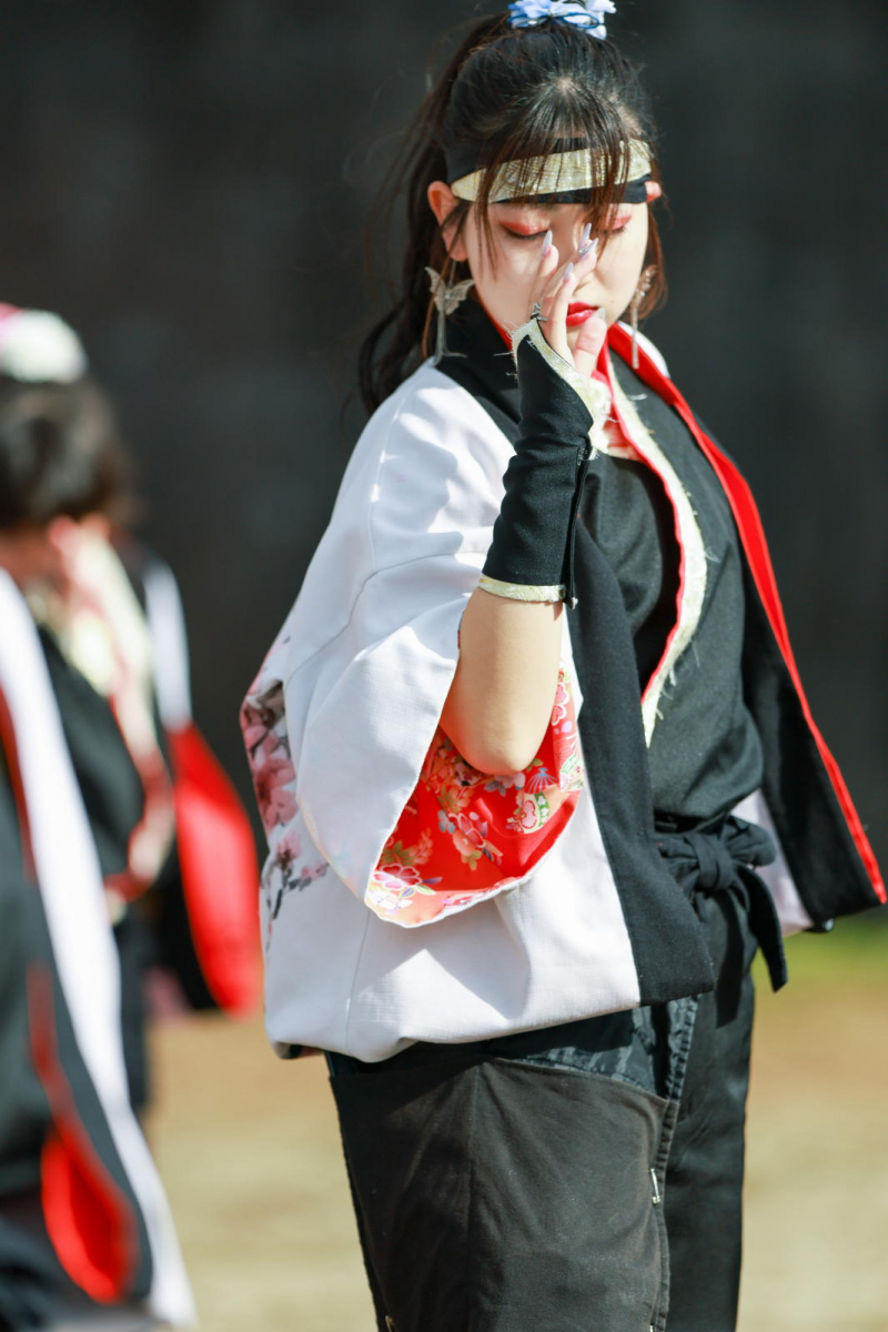 第52回江刺甚句まつり2025その5 2025/05/04