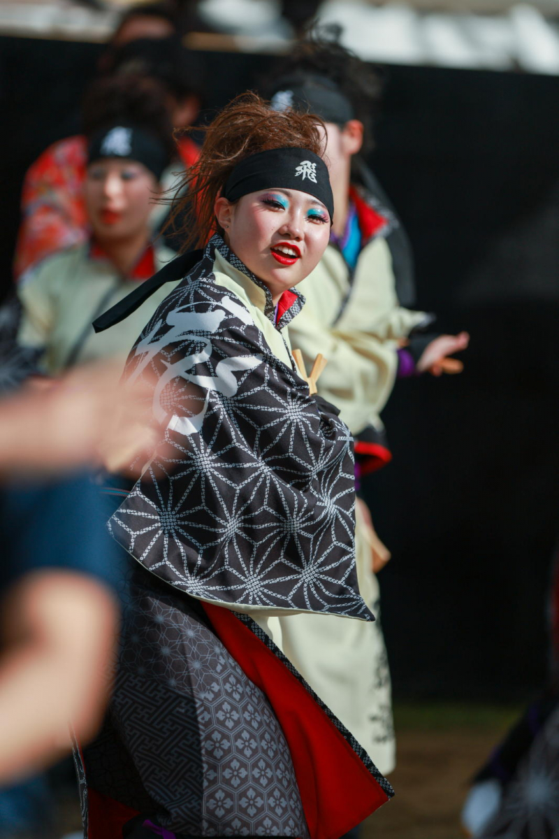 第52回江刺甚句まつり2025その5 2025/05/04