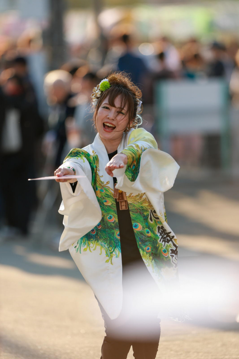 第52回江刺甚句まつり2025その5 2025/05/04